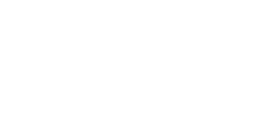 ECM Group Inc.